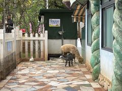 -昆明动物园