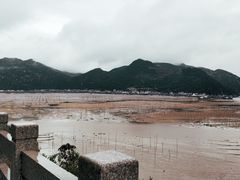-北岐滩涂