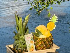 -苏小糖(鼓浪屿三丘田花园店)