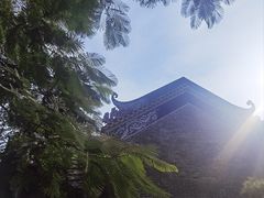 -碧江金楼