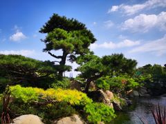 -罗红摄影艺术馆