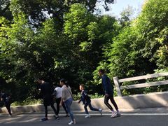 -白云山风景名胜区