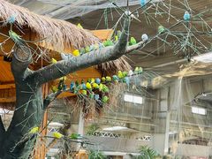 -南宫五洲植物乐园