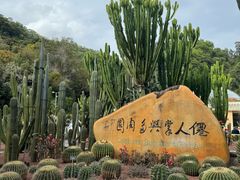 -深圳仙湖植物园
