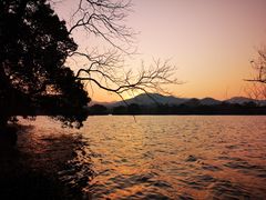 -浙江西子宾馆·牡丹厅