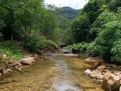 -广州白江湖森林公园