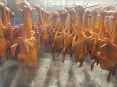 -鸽子侯·家宴·平价海鲜(绿地店)