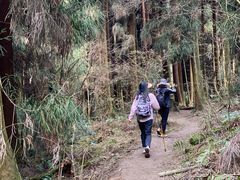-土桥手掌鸡·26年灌县老味道(都江堰店)