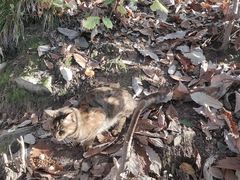 -终南山南五台景区