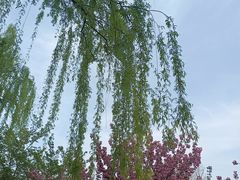 -石家庄市植物园