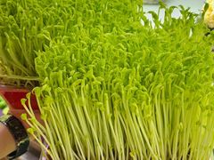 -番食园鲜食火锅(高新店)