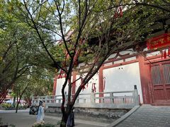 -西安青龙寺遗址景区