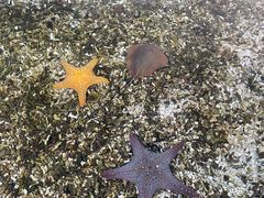 -珠海长隆海洋王国