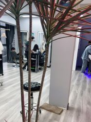 -KIMI HAIR SALON·烫染设计店