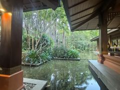 -西双版纳洲际度假酒店兰吧