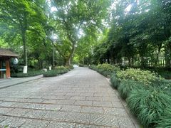 -杭州植物园