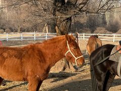 -赛汗塔拉风情园