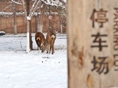 -蓝地时尚庄园(北京清河营地铁站店)