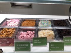 -Salud撒露欧洲冻酸奶(北苑上品店)