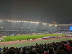-南京奥林匹克体育中心-体育馆