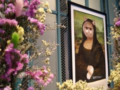 -喵屿·大理花园猫咖