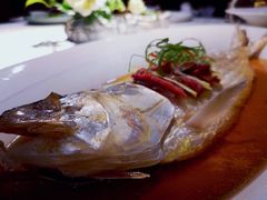 古法秘制蒸鲥鱼-麟1929(外滩店)