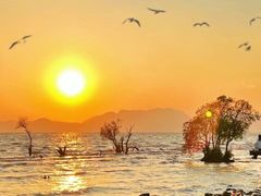 -滇池海埂公园