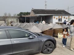 -苏州市吴中区光福窑上花果蜜饯厂