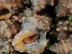 -合家小菜餐馆(新诚花苑店)