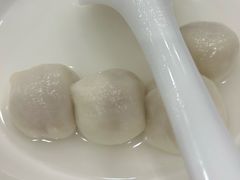-中加枫华国际学校