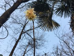 -一江春水·杭帮臻宴