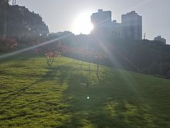 -龙头寺公园