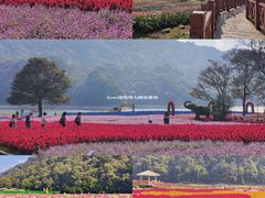 -广州市石门国家森林公园