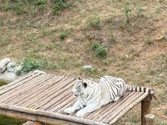 -石家庄市动物园