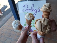 -Dooley's Premium Ice Cream