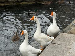 -水磨沟公园