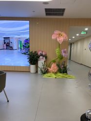 -上海伊莱美医疗美容医院