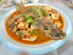 -煲来饱去冷水鱼