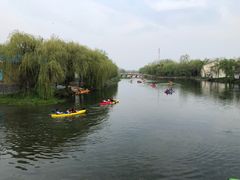 -溱湖国家湿地公园