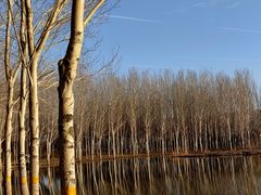 -东郊湿地公园