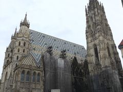 -斯蒂芬主教座堂(Stephansdom)