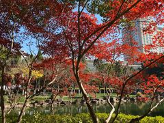-昆山城市公园