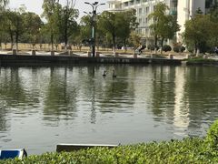 -南京医科大学(江宁校区)