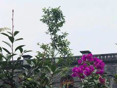 -安仁古镇