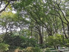 -上海醉白池公园