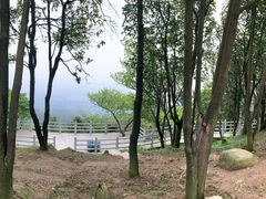 -广州市帽峰山景区