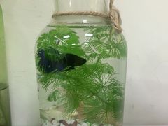 -拍刻风照相馆(南山西丽店)