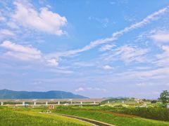 -光明小镇欢乐田园