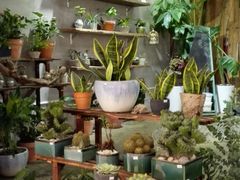 -BOBLOOM花店(宝龙旭辉广场店)