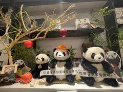 -轩客会(熊猫书店)
